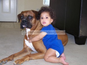 atsa00001 (2) atsa00001 (2)